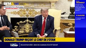 perante o chefe da NATO, Donald Trump diz-se “decepcionado” com os países aliados
