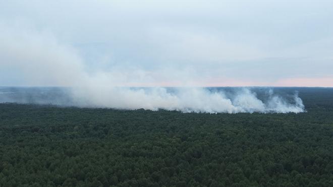 Emergência: O fogo está se espalhando no Parque Nacional Miritz